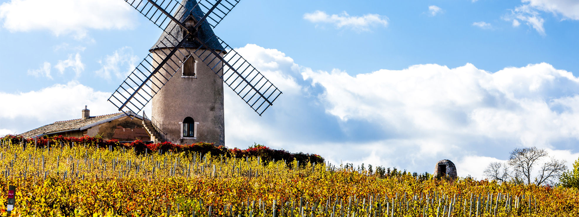 Trophée du meilleur Gamay du monde